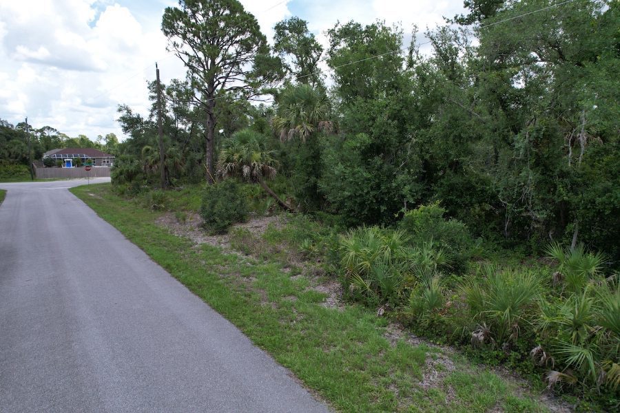 Calle pavimentada junto a un terreno con vegetación nativa en Port Charlotte, Florida
